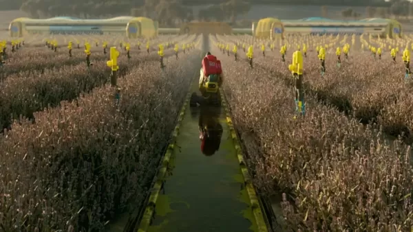 Marathonディレクターが価格考量について議論