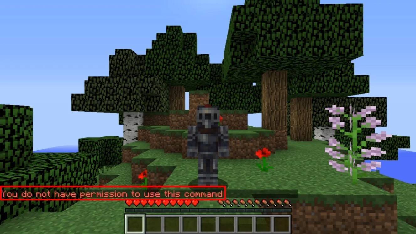Teletransportación de Minecraft