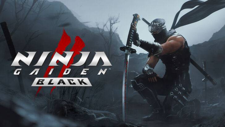 Ninja gaiden 2 hitam
