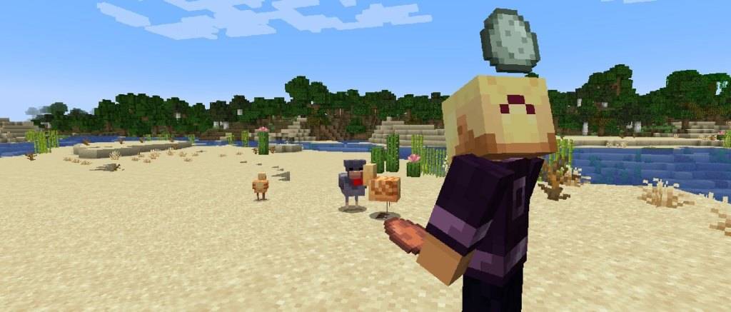 MINECRAFT တွင်ကြက်သားမျိုးကွဲ။