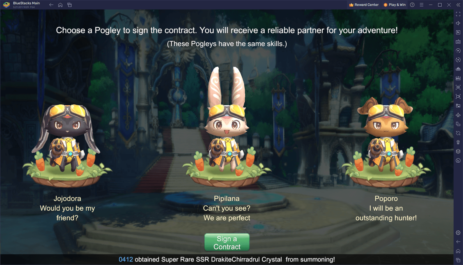 Draconia Saga Pogley Guide - Mastering Pet Companions for Improved Gameplay