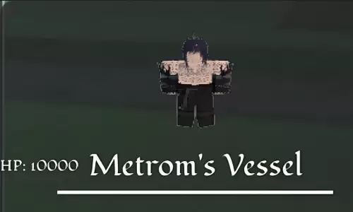 Metrom's Vessel Image 1