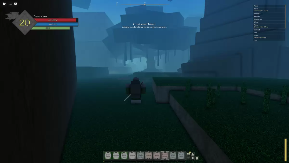 Player in Greatwood Forest